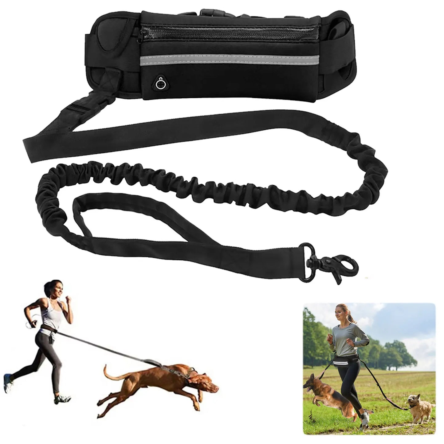 Hands Free Reflective Leash w/Waist Bag