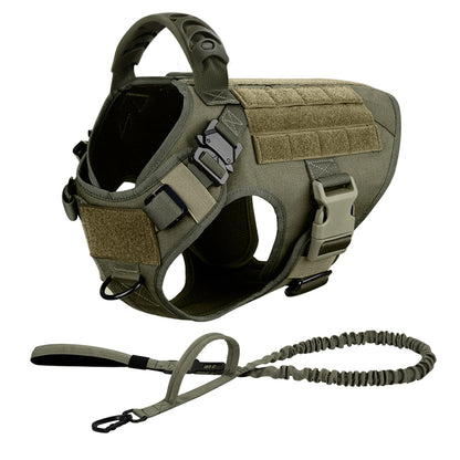Large Dog Harness & Leash Set