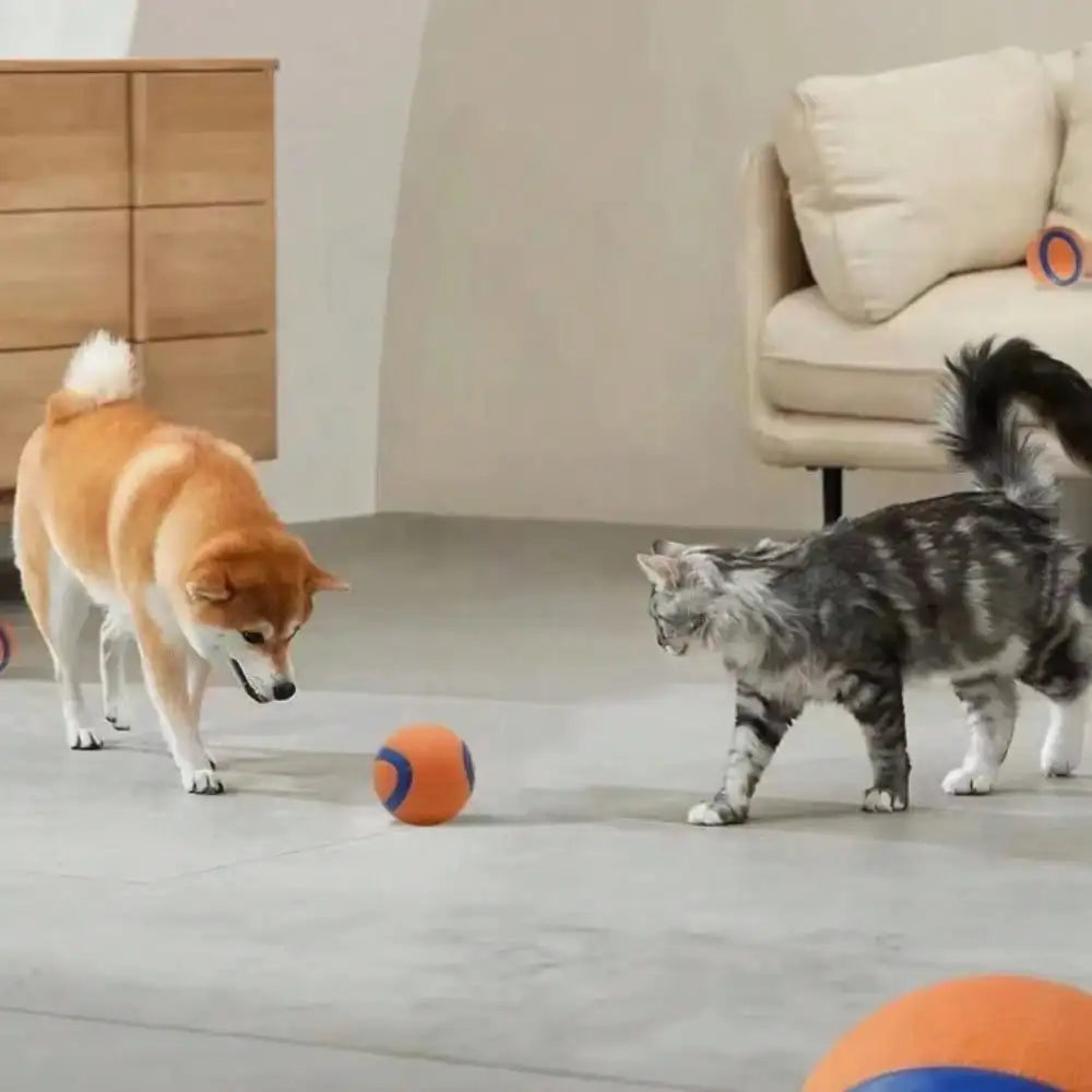 Tough Fetch Ball Toy