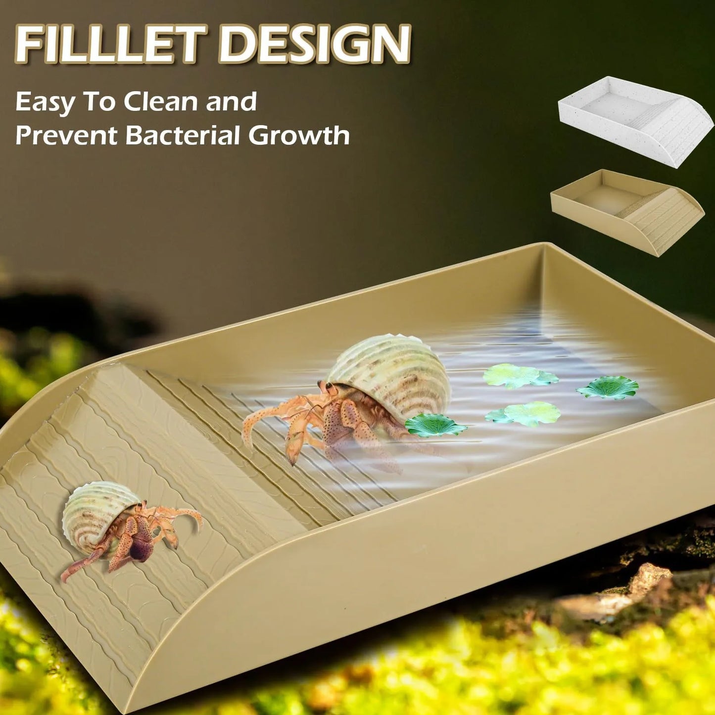Anti Slip Tortoise Bath/Pool