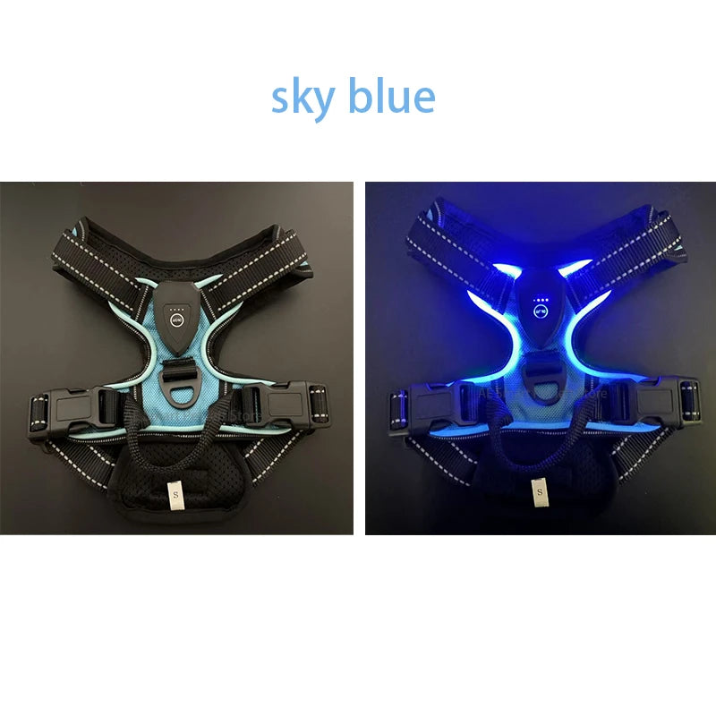 Rechargeable luminous Dog Harness