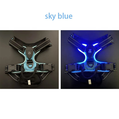 Rechargeable luminous Dog Harness