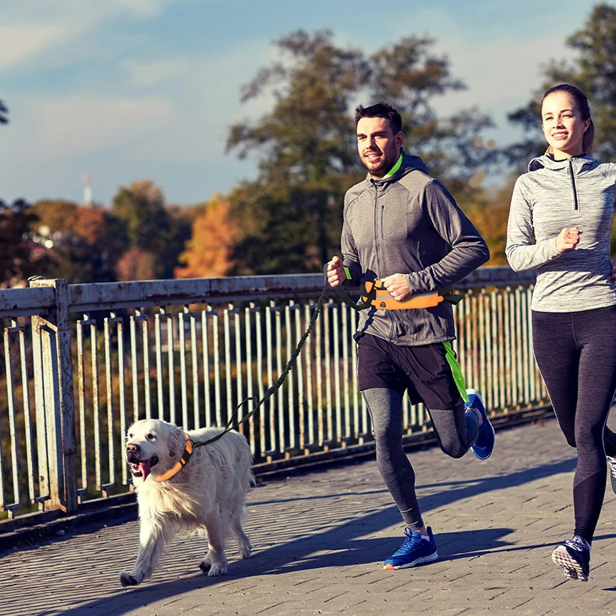 Hands Free Reflective Leash w/Waist Bag