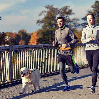 Hands Free Reflective Leash w/Waist Bag
