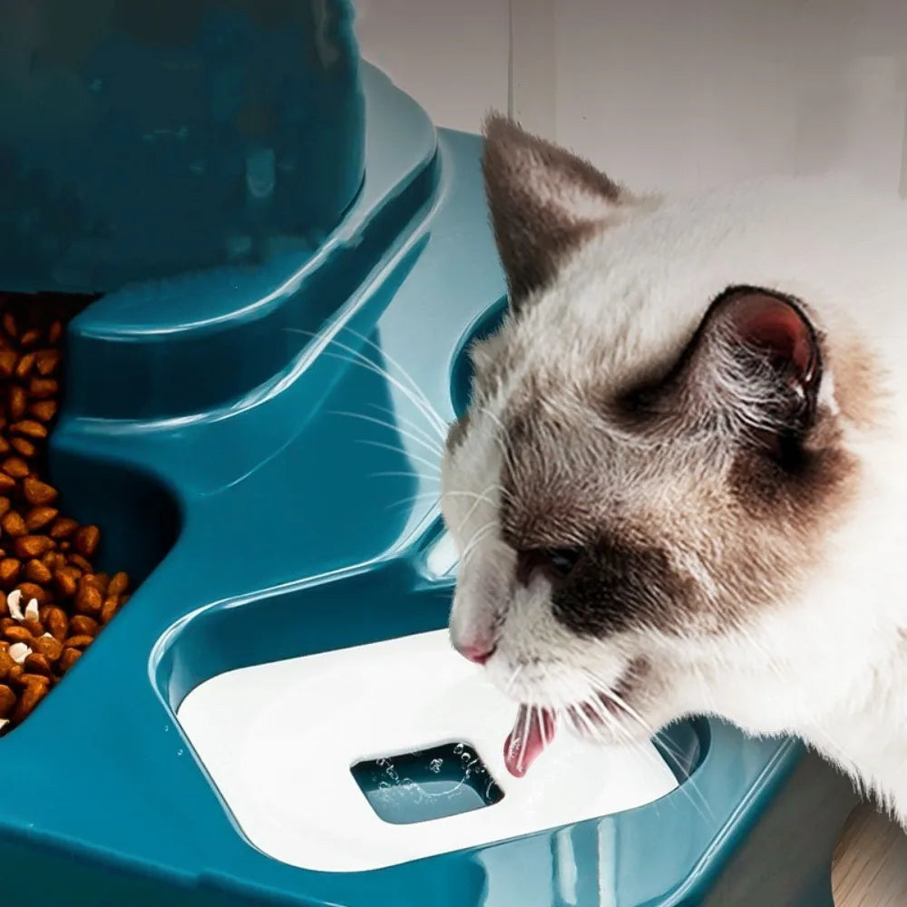 Large Capacity Food Bowl, Storage Dispenser