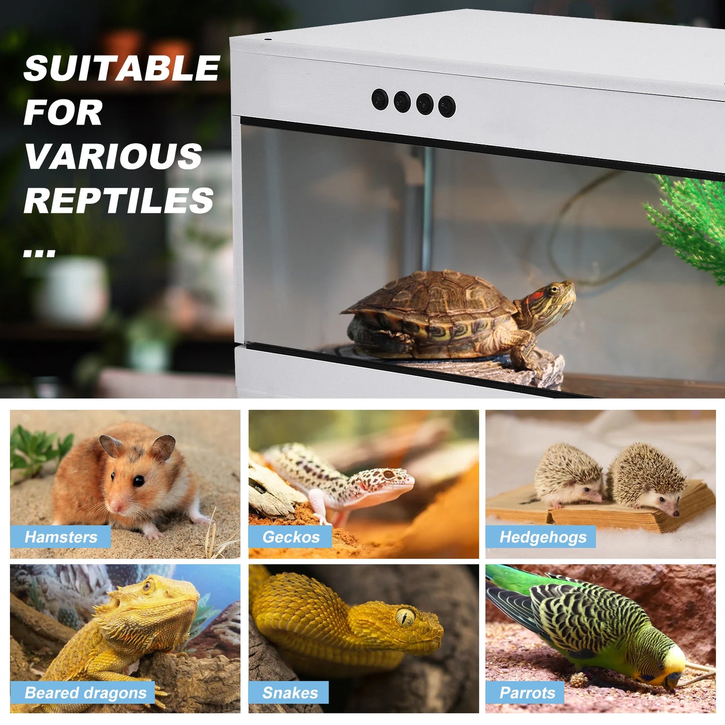 Stackable Reptile Terrarium