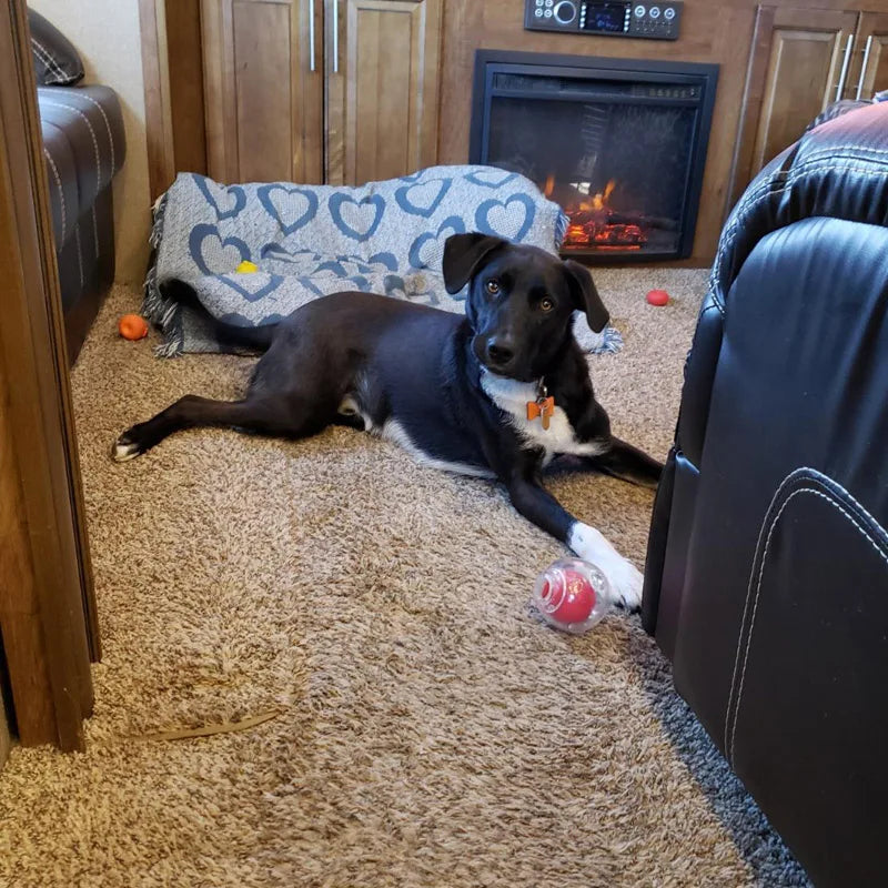Amazing Squeaker Ball, Durable Floatable