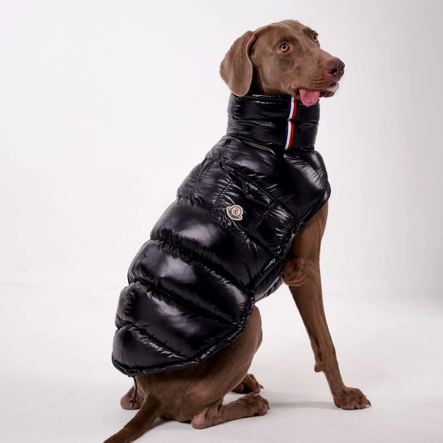 Warm, Windproof. Thick Down Coat