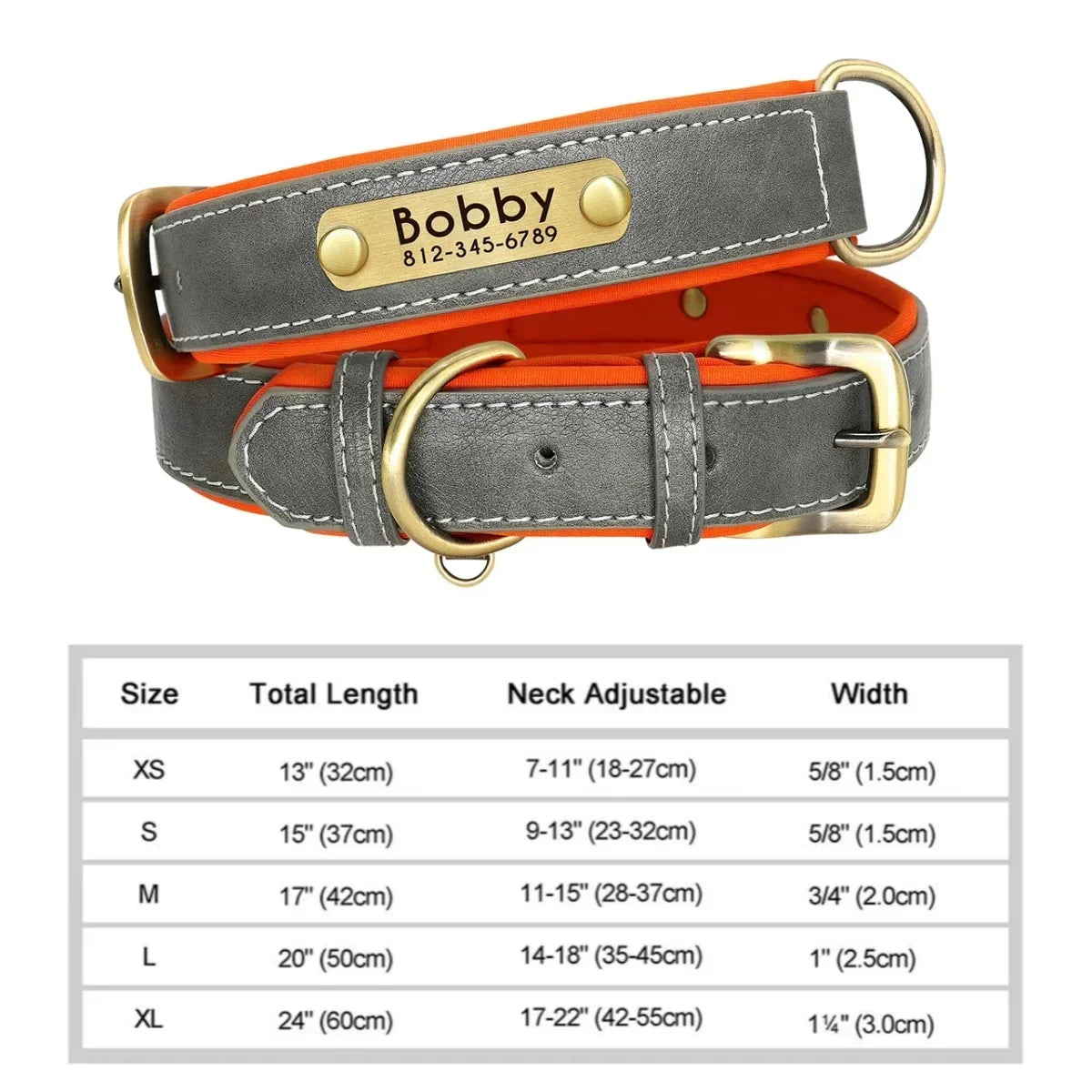 Customized Leather ID Nameplate Collar