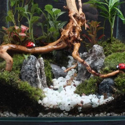 Natural Driftwood Tree Trunk
