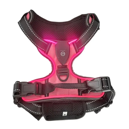 Rechargeable luminous Dog Harness