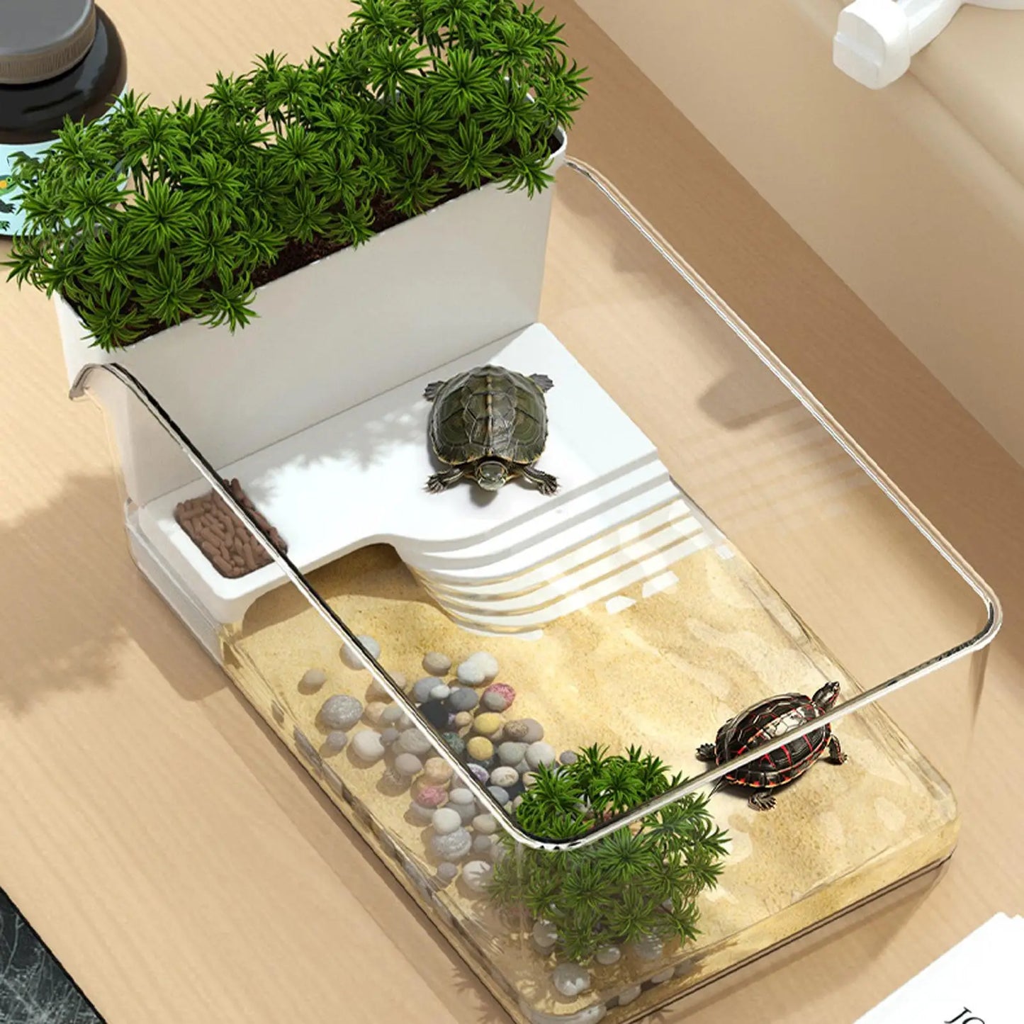 Turtle Tank with Basking Area
