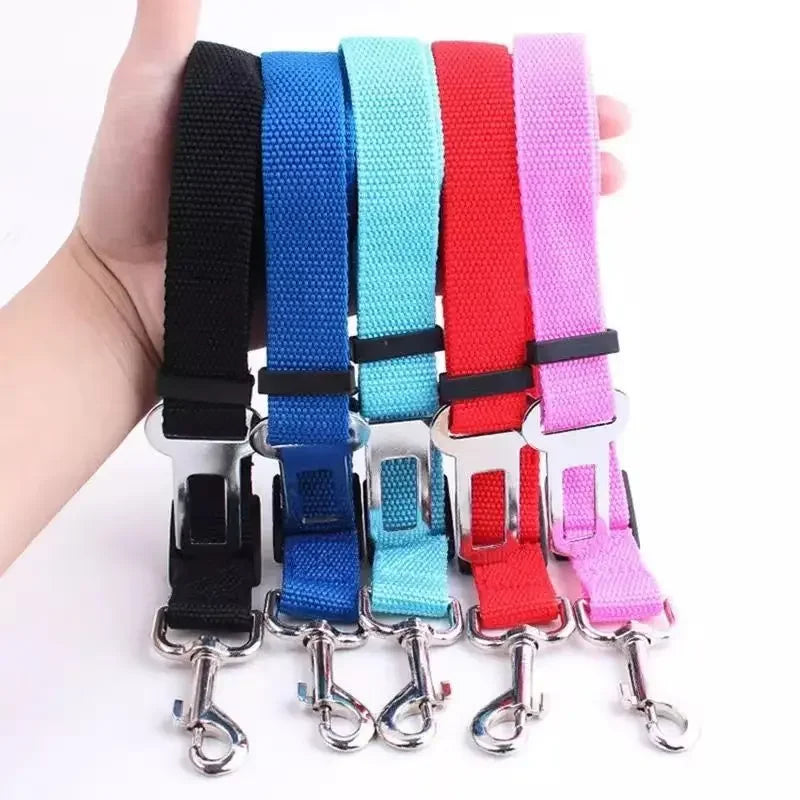 Dog Leash Safety Protector