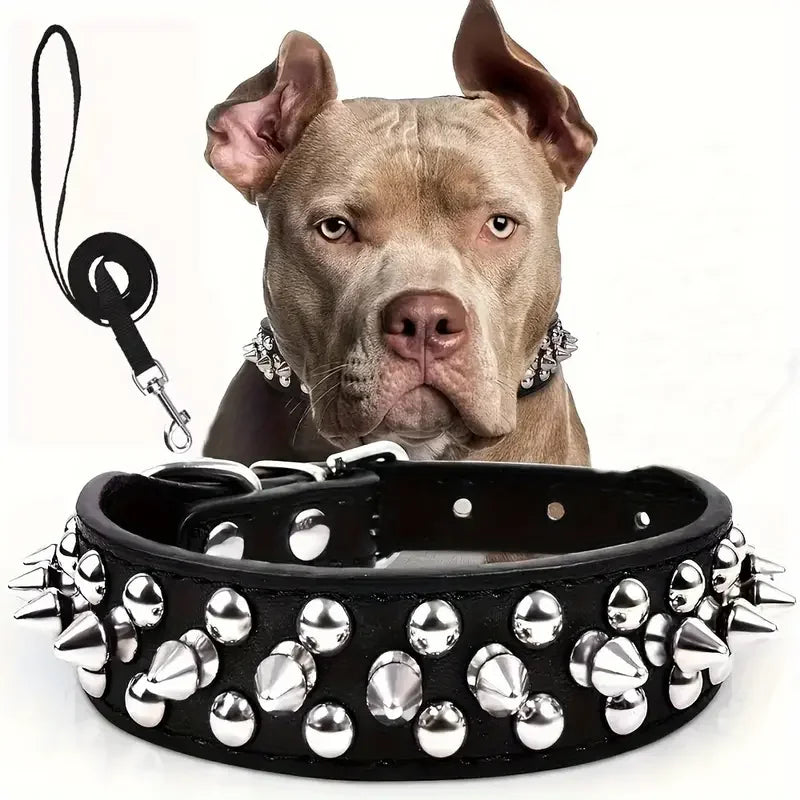 Adjustable, Leather Spiked Dog Collar and Leash Set