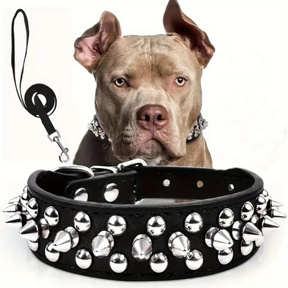 Adjustable, Leather Spiked Dog Collar and Leash Set