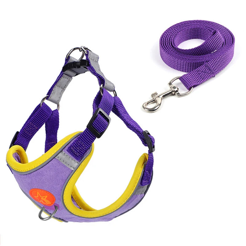 Sm/Med Reflective Vest & Leash for Walking