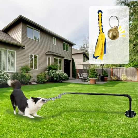 Tether Tug Outdoor Dog Toy