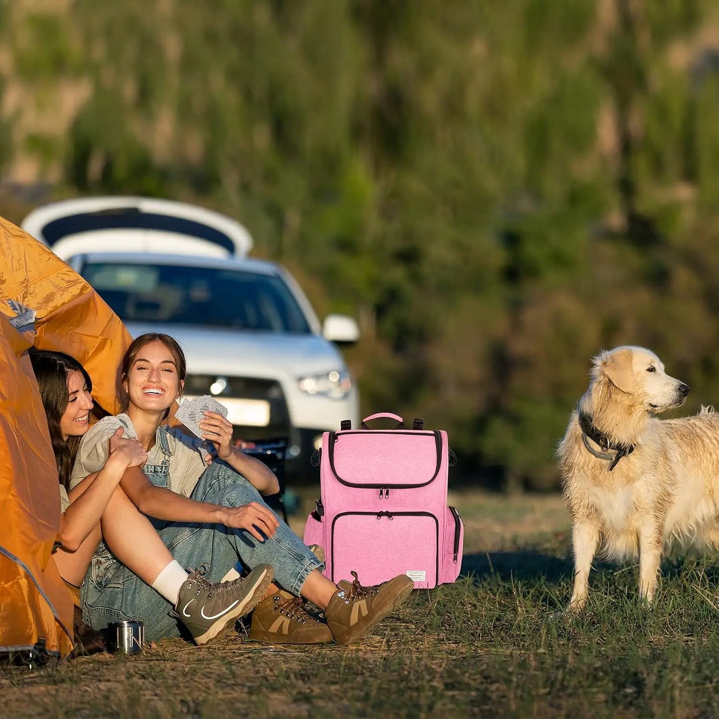 Airline Approved Dog Travel Backpack