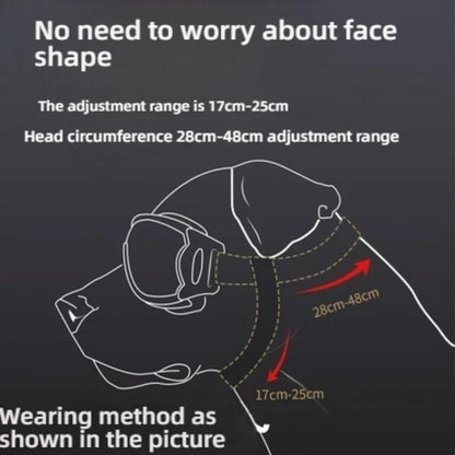 Small Breed UV Sunglasses, Adjustable Strap