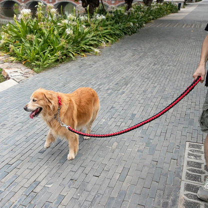 Heavy Duty Durable Large Leash