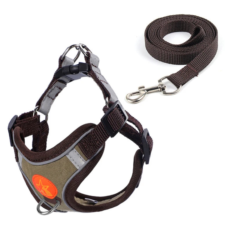 Sm/Med Reflective Vest & Leash for Walking