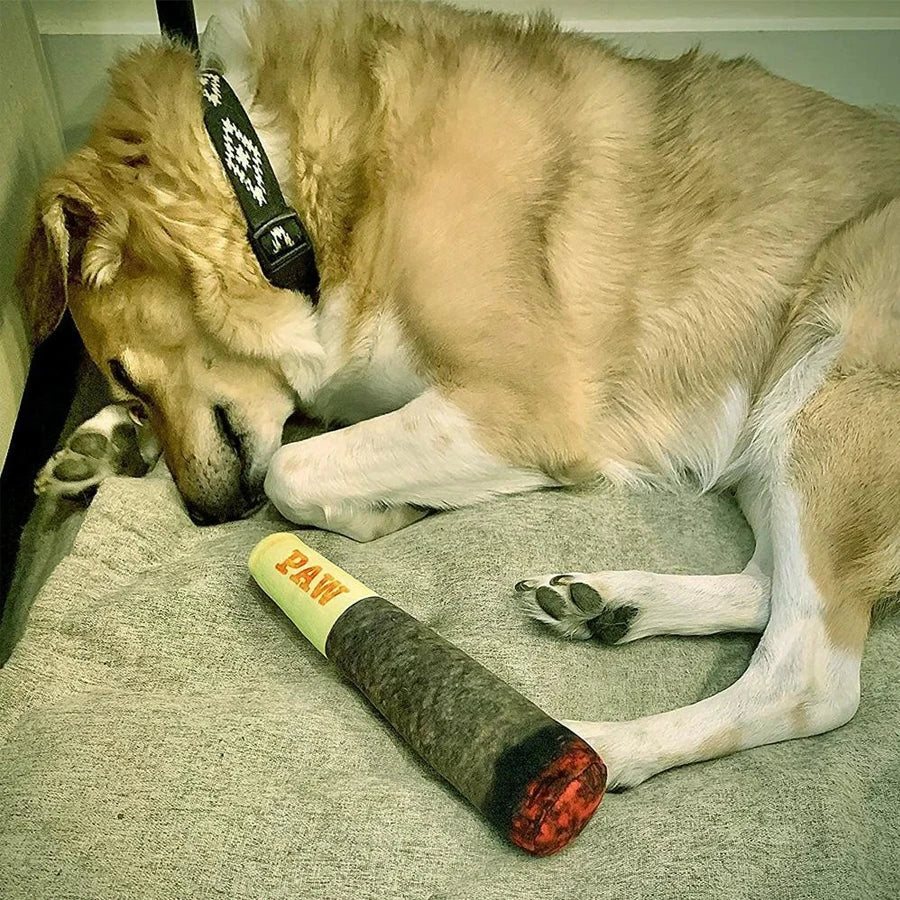 Cigar Design Interactive Dog Toy