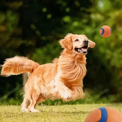 Tough Fetch Ball Toy