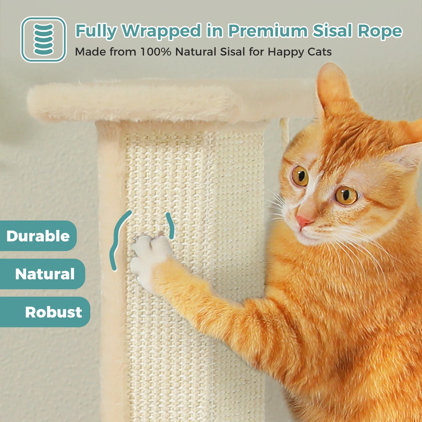 Large Scratching Post for Indoor Cats