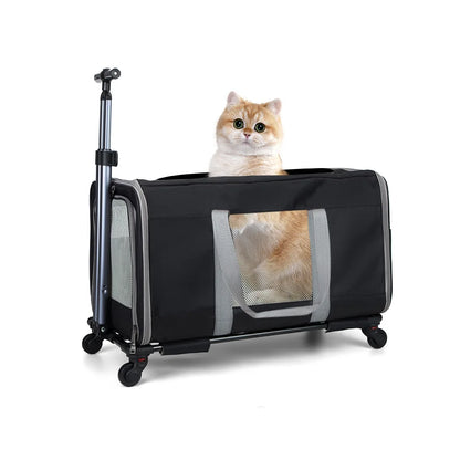 Cat Trolley/Transport for 2 cats