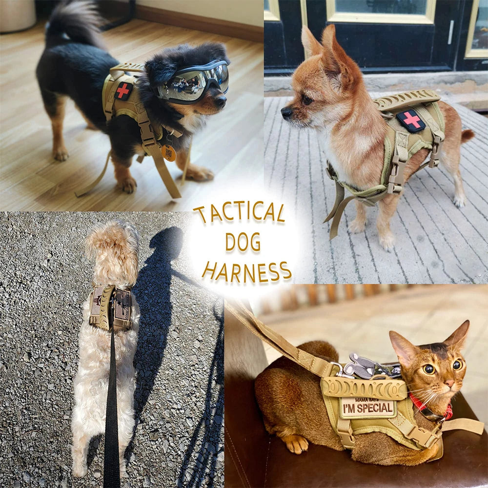Tactical Puppy Harness Leash Set