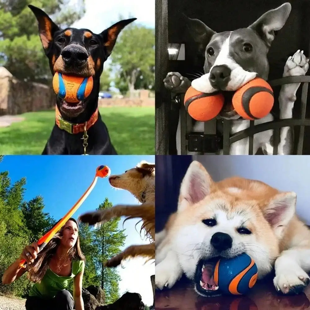 Tough Fetch Ball Toy