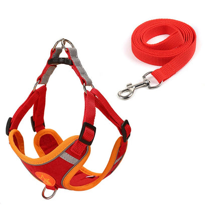 Sm/Med Reflective Vest & Leash for Walking