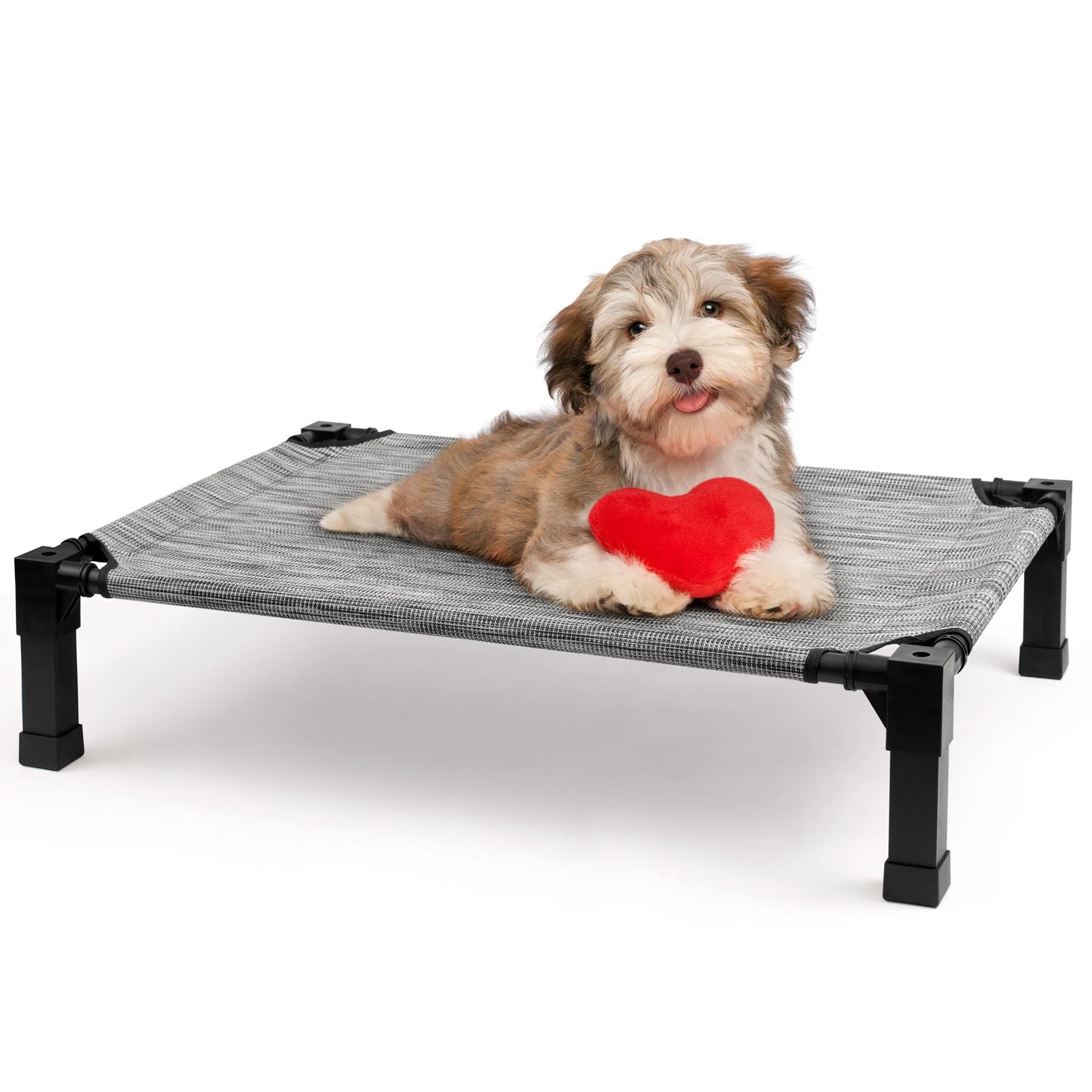 Cooling, Raised, Elevated Dog Bed