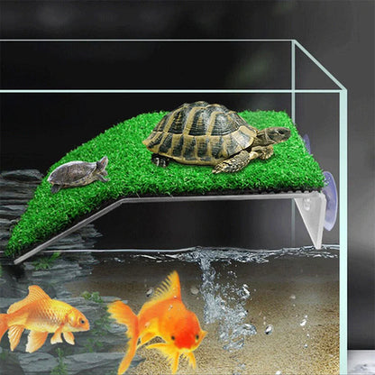 Turtle Climbing, Sunbathing Platform