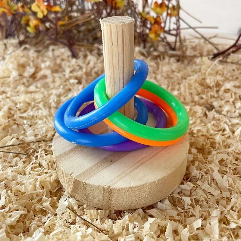 Educational Wooden Interactive Parrot Ring Toy