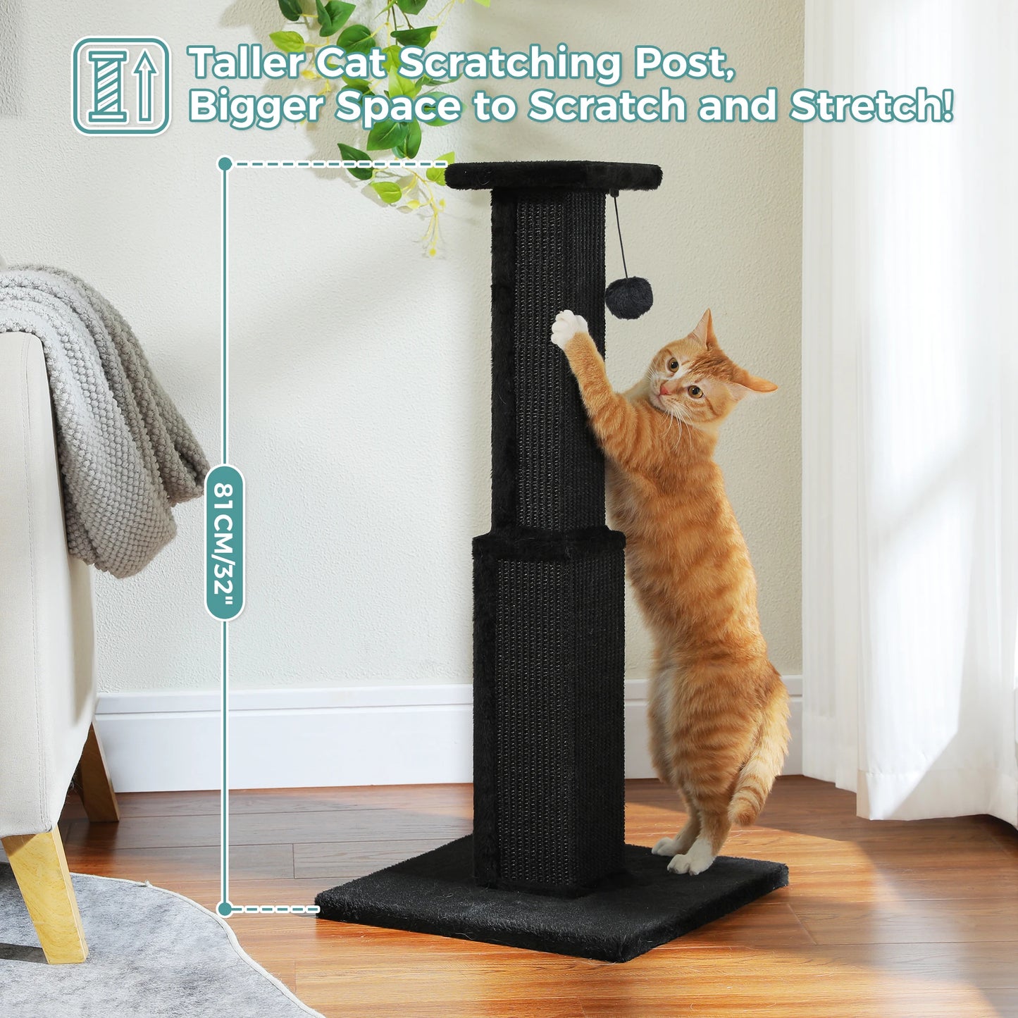 Large Scratching Post for Indoor Cats
