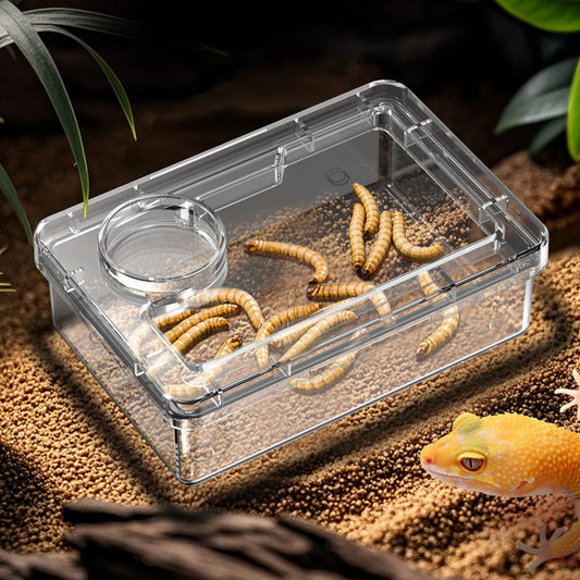 Feeding and water bowls for reptiles