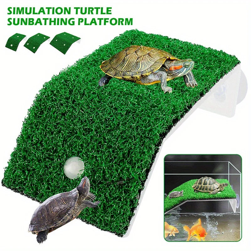 Turtle Climbing, Sunbathing Platform