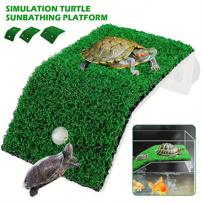 Turtle Climbing, Sunbathing Platform