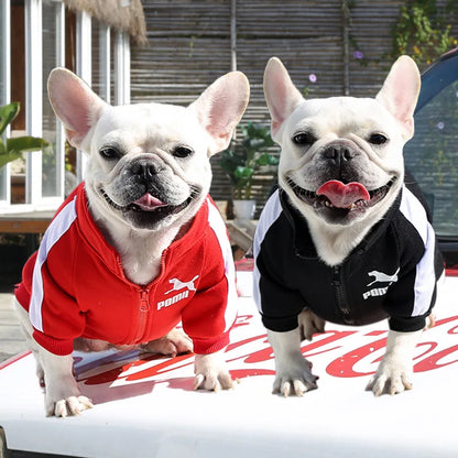 Dog Sweatshirts Customizable Design for Autumn/Winter,