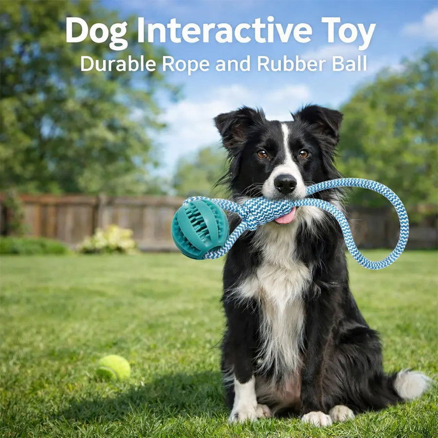 1pc Light Blue Durable Dog Chew