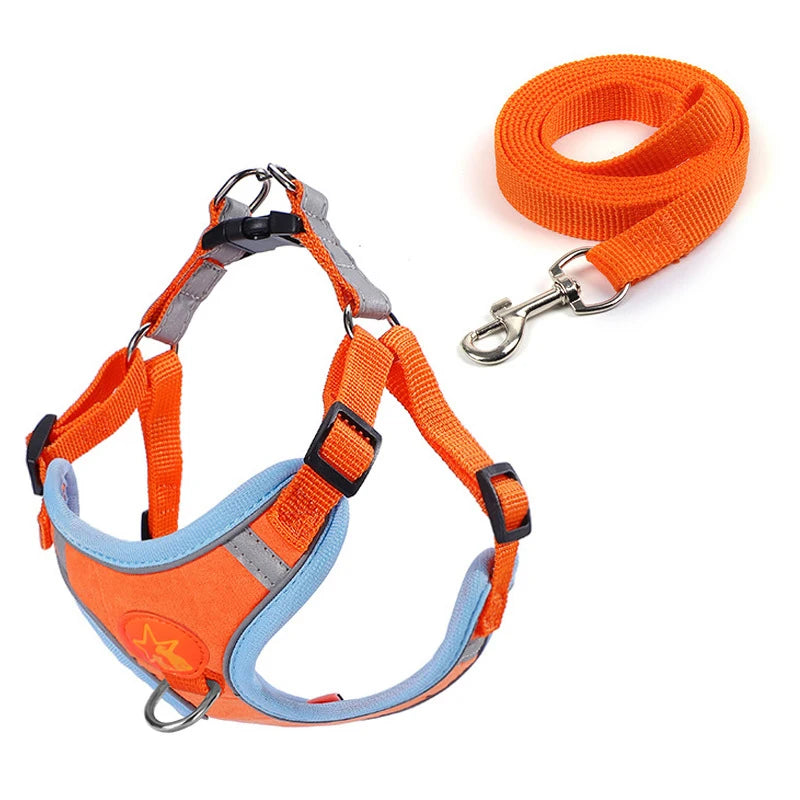 Sm/Med Reflective Vest & Leash for Walking