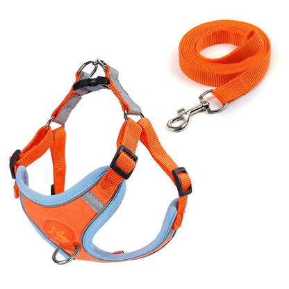 Sm/Med Reflective Vest & Leash for Walking
