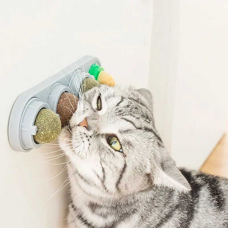 Rotating Catnip Silver Vine Ball