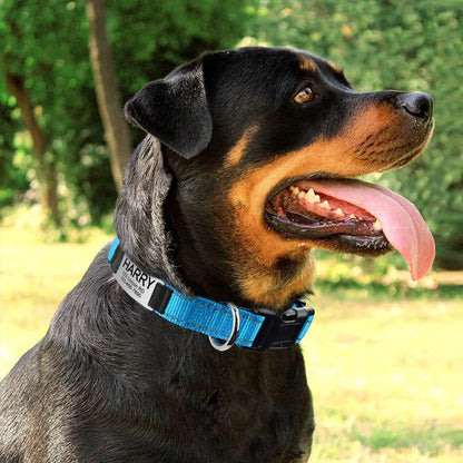Adjustable Reflective Dog Collar