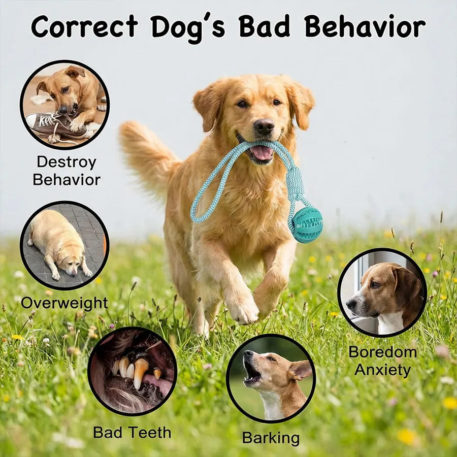 1pc Light Blue Durable Dog Chew