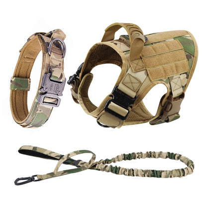 Large Dog Harness & Leash Set