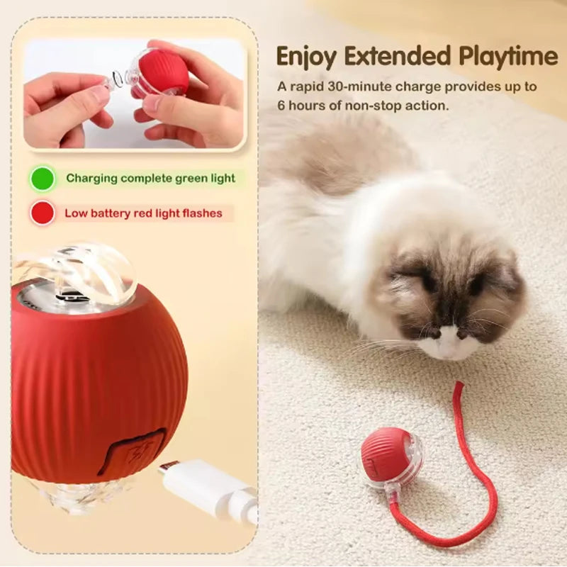 Self-satisfying Cat Toy