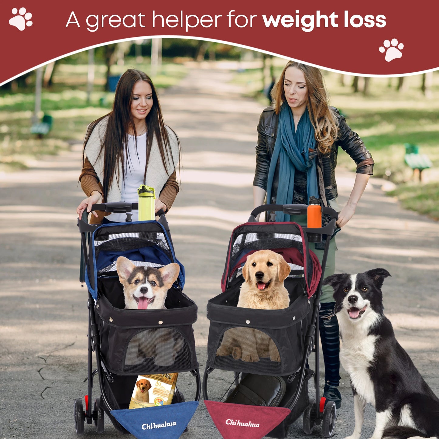 Foldable Stroller with Breathable Mesh Canopy