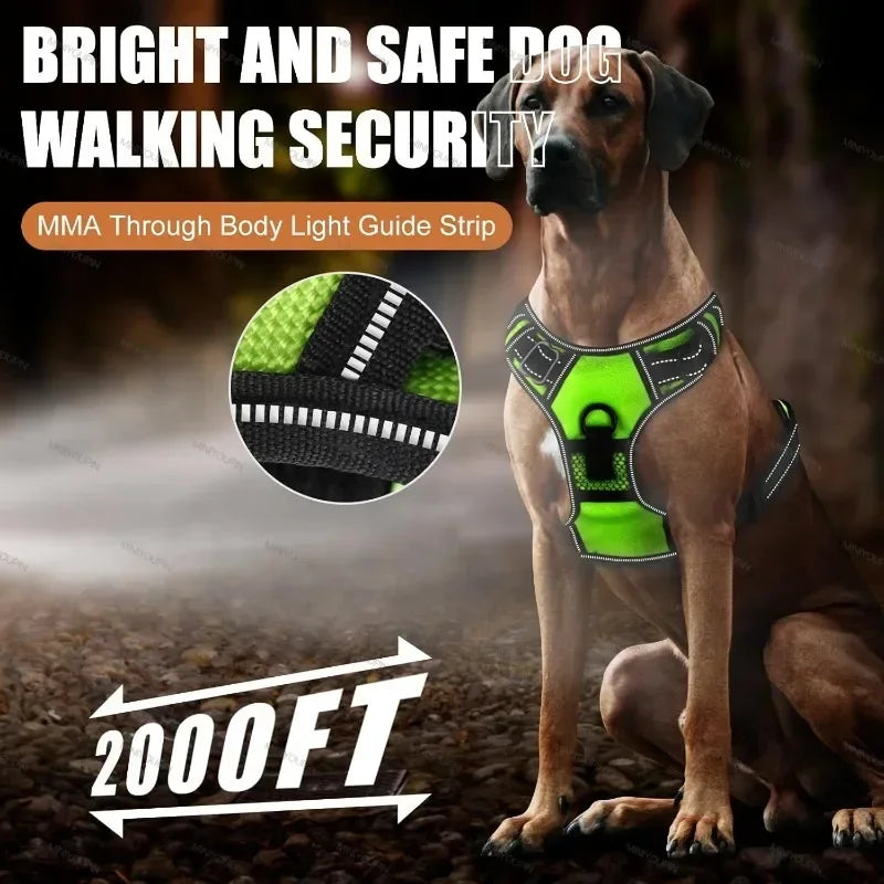 Rechargeable luminous Dog Harness